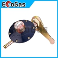 Gas Regulator