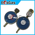 Gas Regulator