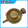 Gas Regulator