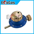 Gas Regulator