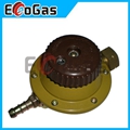 Gas Regulator