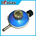 Gas Regulator