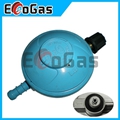 Gas Regulator