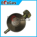 Gas Regulator