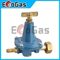 Gas Regulator