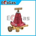 Gas Regulator