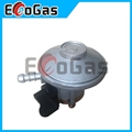 Gas Regulator