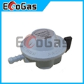 Gas Regulator