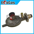 Gas Regulator