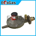 Gas Regulator