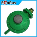 Gas Regulator