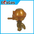 Gas Regulator