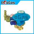 Gas Regulator