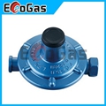 Gas Regulator