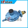 Gas Regulator