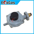 Low Pressure Gas Regulator