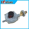 Low Pressure Gas Regulator