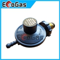 Low Pressure Gas Regulator