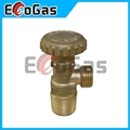 Gas Valve