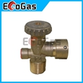 Gas Valve