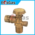 Gas Valve