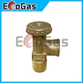 Gas Valve