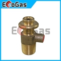 Gas Valve