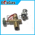 Gas Valve