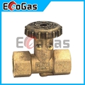 Gas Valve