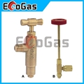 Gas Valve