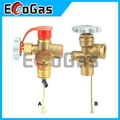 Gas Valve