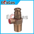 Gas Valve