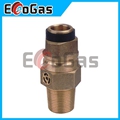 Gas Valve