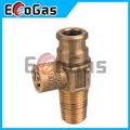 Gas Valve