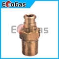 Gas Valve