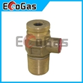 Gas Valve