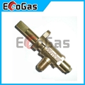 Gas Valve