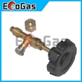 Gas Valve