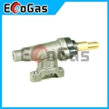 Gas Valve