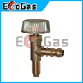 Gas Valve