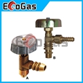 Gas Valve