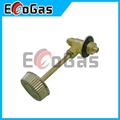 Gas Valve