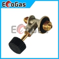 Gas Valve