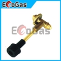 Gas Valve