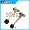 Gas Valve