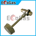 Gas Valve