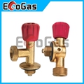 Gas Valve