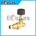 Gas Valve