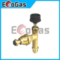 Gas Valve